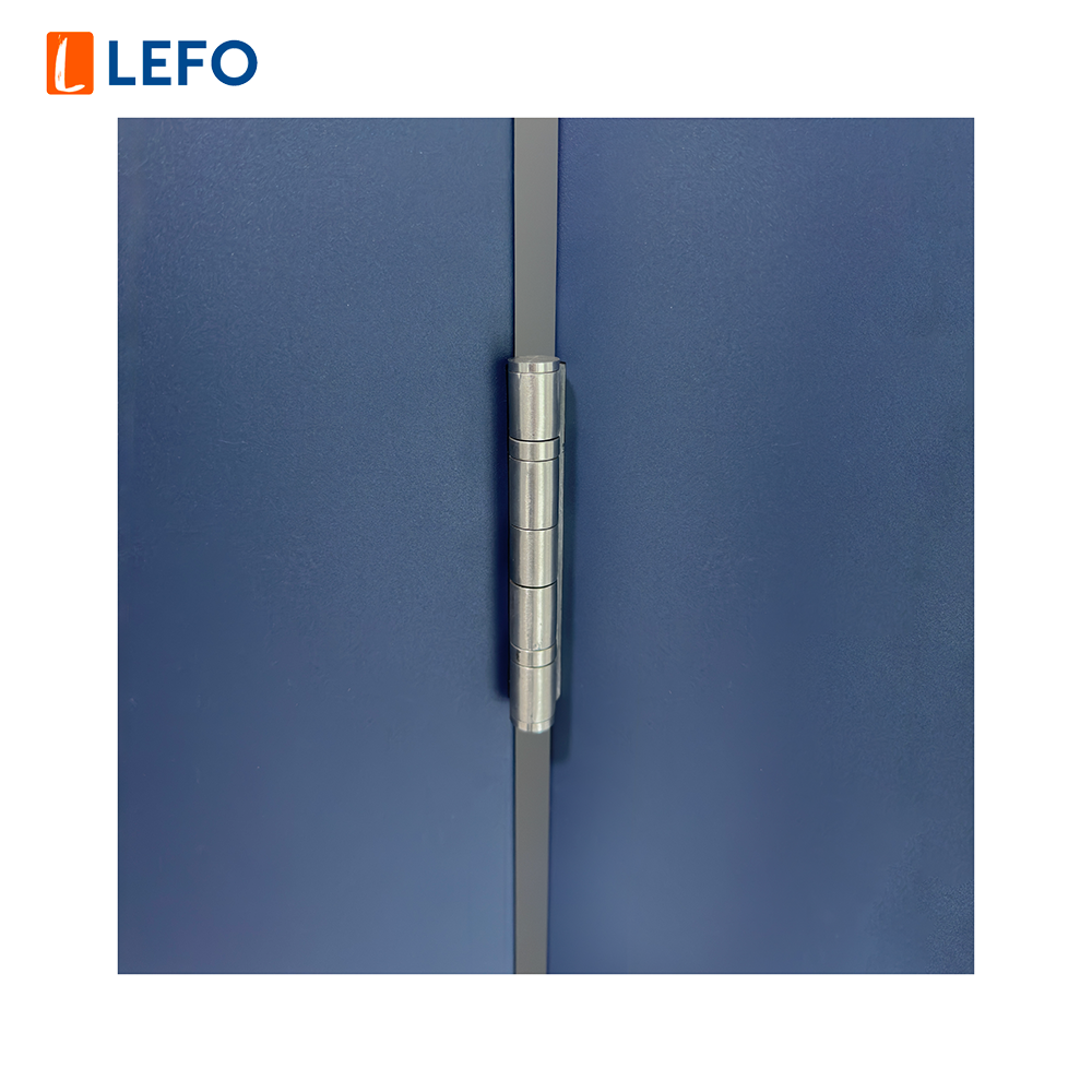 Hollow Metal Door